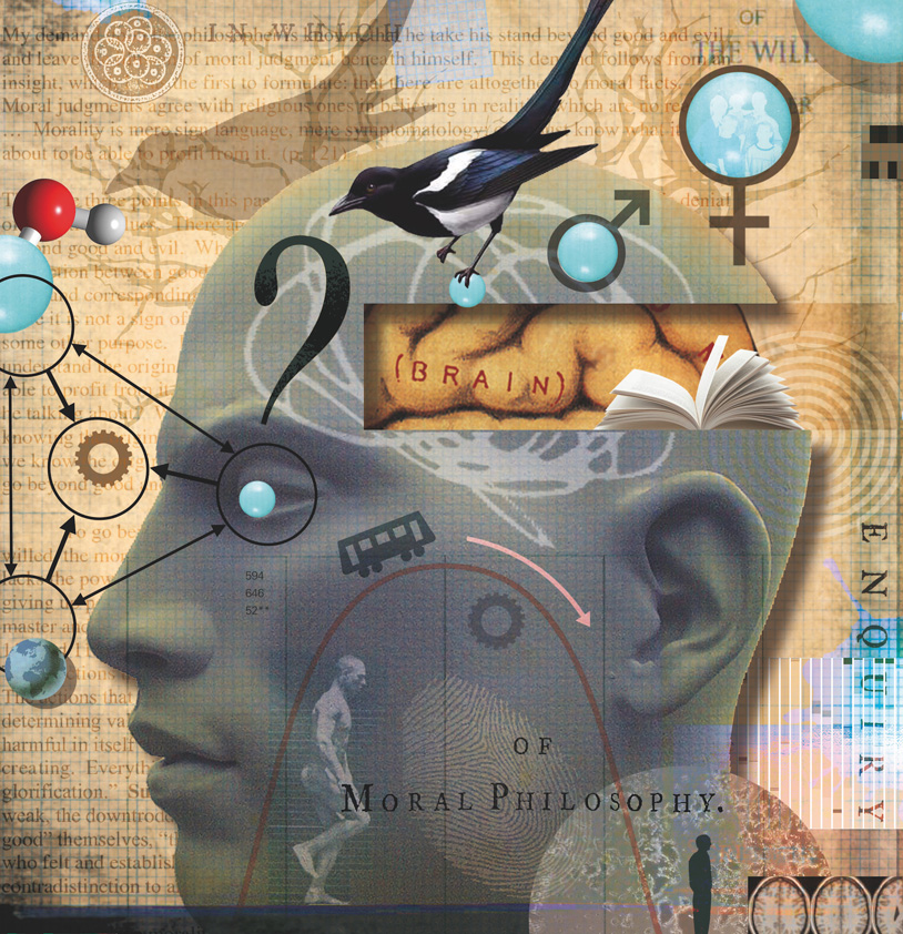 Paul Bateman Graphic Collage illustration conceptual image of Head, Idea Theft, morality, philosophy, borrowing or stealing, right or wrong, Magpie